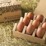 تخم مرغ محلی ارگانیک