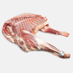 شقه گوسفندی بره نر